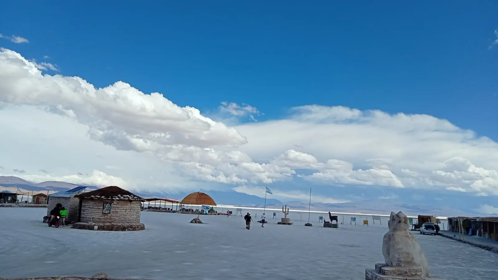 Aldhineo Experiencia